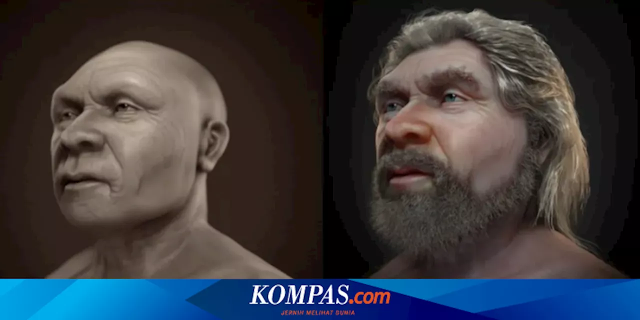 Jauh dari Primitif, Manusia Purba Neanderthal Suka Mengatur Rumahnya