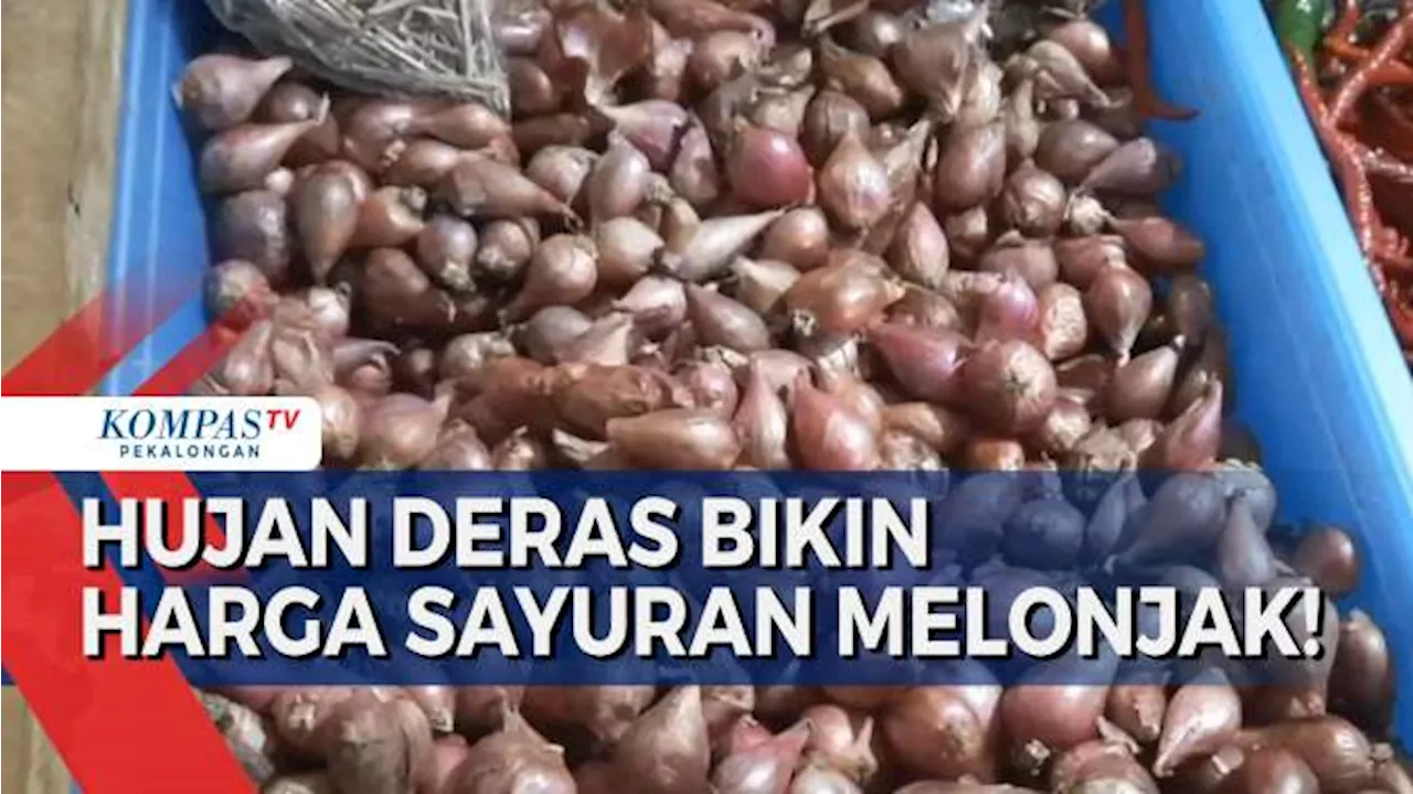 Harga Bawang Merah di Tegal Meroket! Naik Hingga Rp 70 Ribu Per Kg!