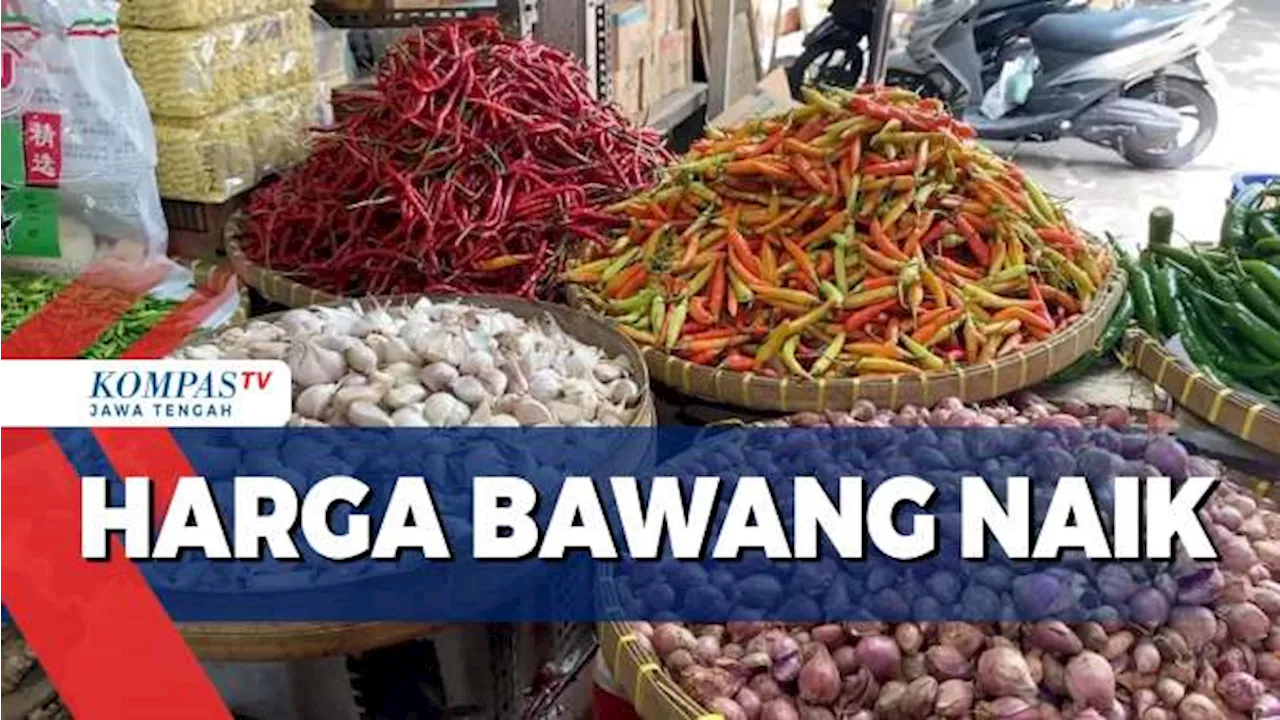 Harga Bawang Naik