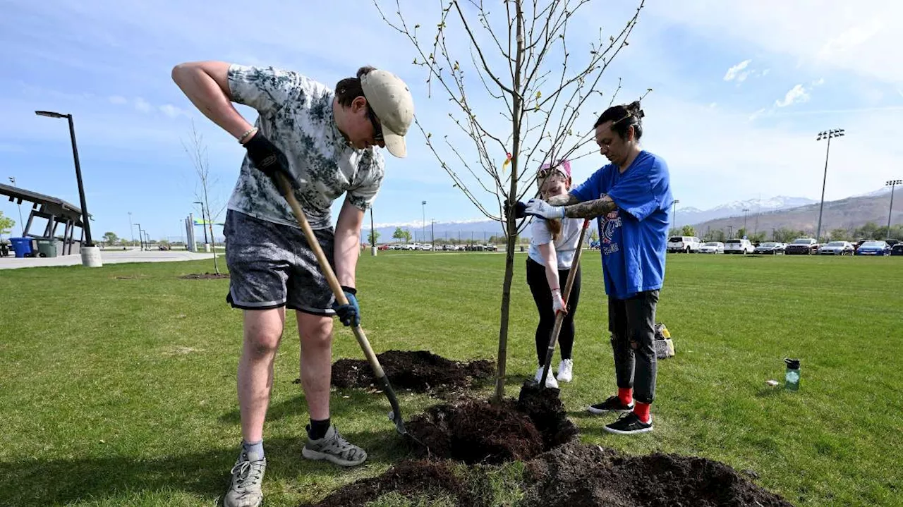 Why Salt Lake City plants thousands of new trees every year