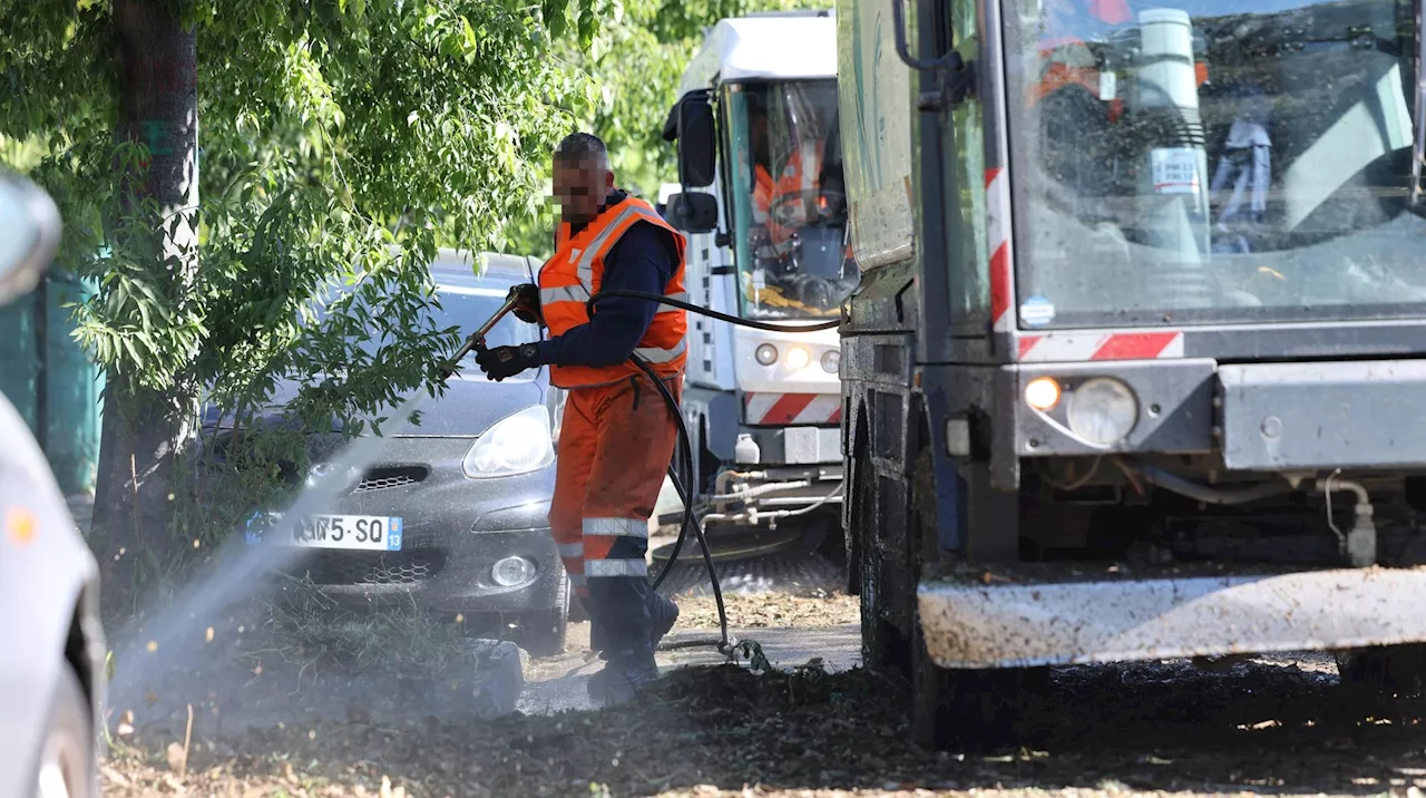 Encombrants, herbes folles, détritus… la Métropole Aix-Marseille lance ses brigades de 'propreté renforcée'