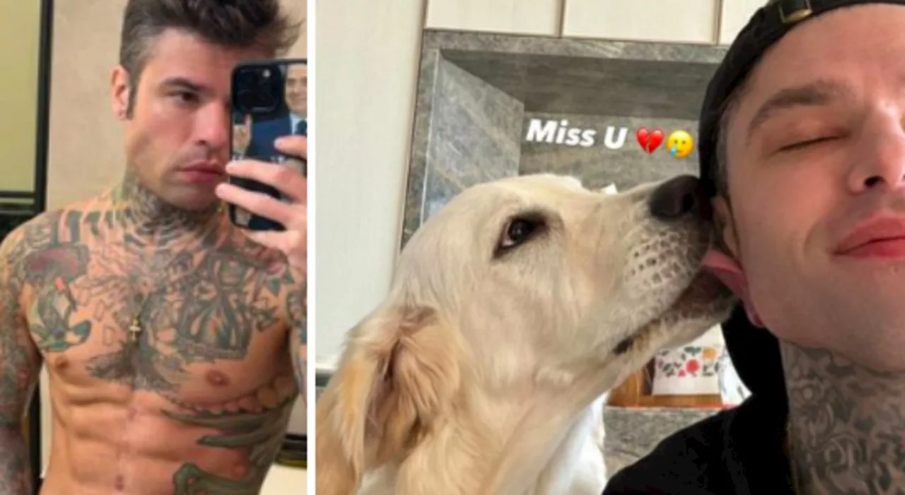 Fedez triste per Paloma: «Mi manchi». Dov'è la cagnolina che i Ferragnez avevano adottato?