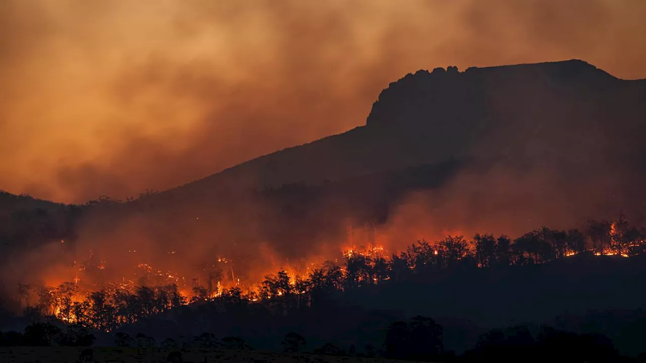 Turis, Waspadai Karhutla Saat Liburan ke Chiang Rai Thailand