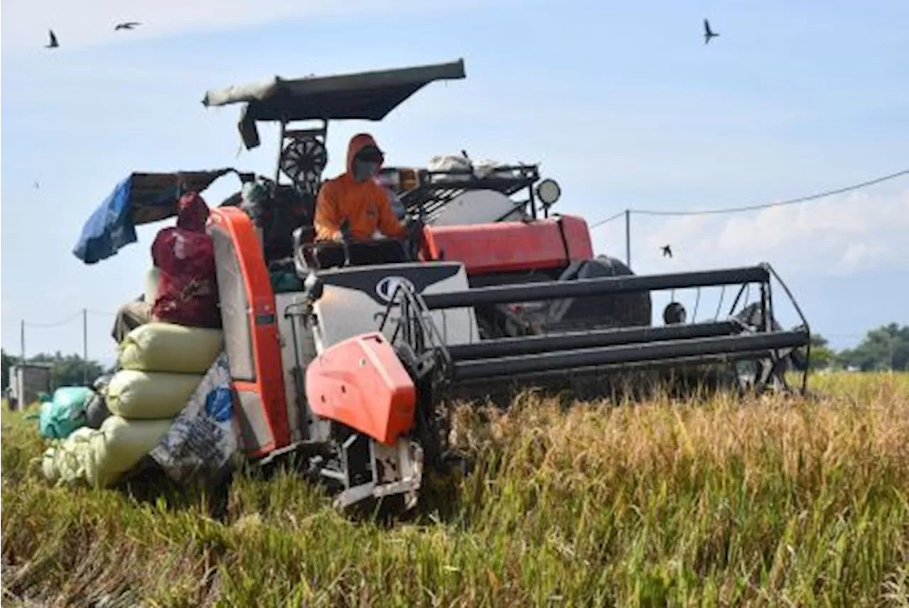 Bapanas Ketahanan Pangan Kunci Wujudkan Indonesia Emas 2045