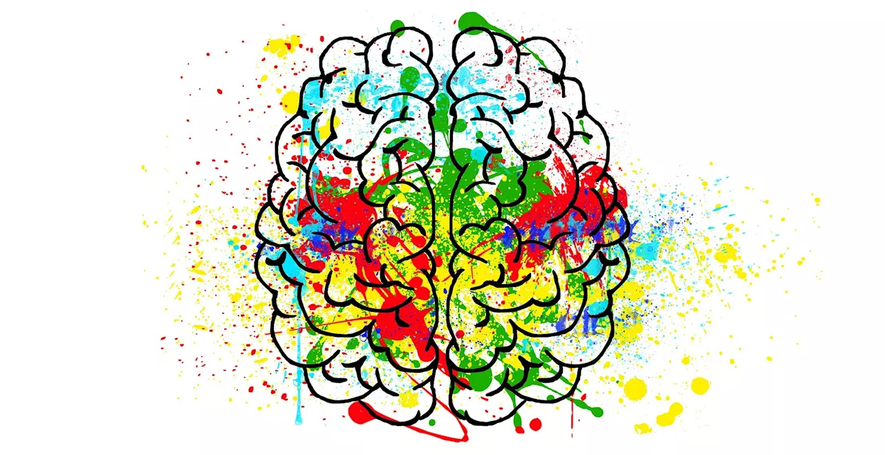 Researchers identify targets in the brain to modulate heart rate and treat depressive disorders