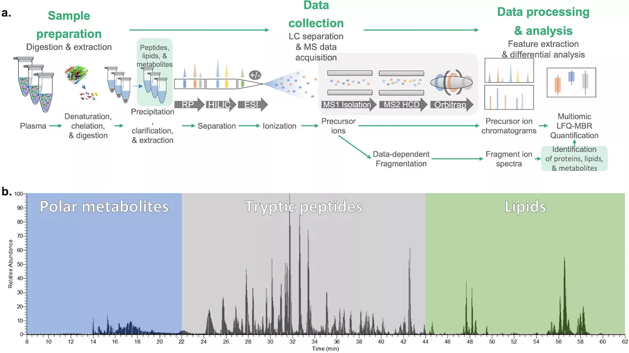 Study finds biomarkers for psychiatric symptoms in patients with rare genetic condition 22q