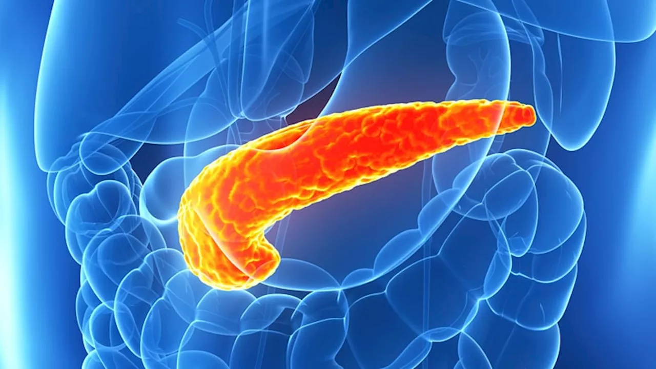 Pancreatic Fat Is the Main Driver for Exocrine and Endocrine Pancreatic Diseases