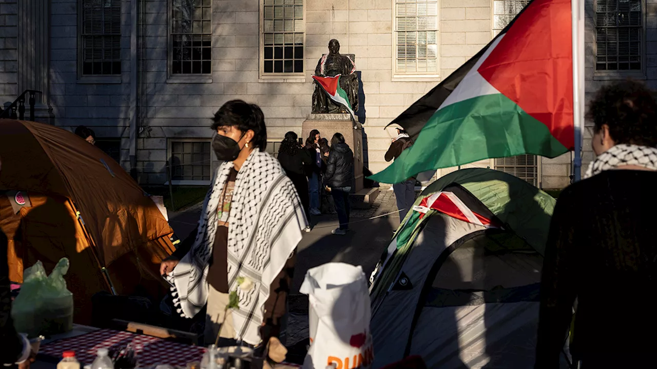 As some universities negotiate with pro-Palestinian protesters, others quickly call the police