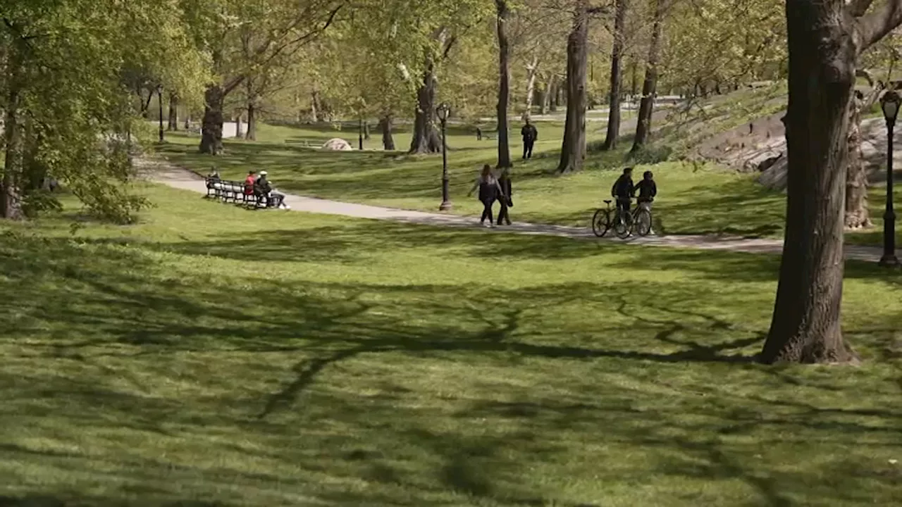 Two Central Park robberies in 12 hours highlight alarming crime spike at popular park