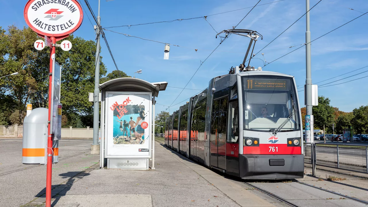 Schwechater Grüne wettern gegen blaue Bim-Bremse