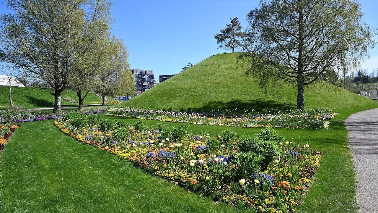 Baden-Württemberg: Sanfte Hügel und viele Blumen: Landesgartenschau öffnet