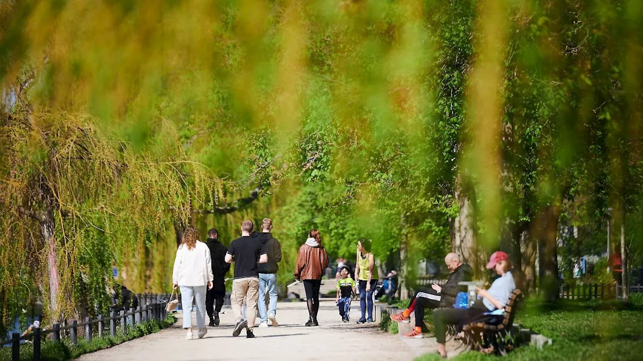 Berlin & Brandenburg: Frühlingswetter in Berlin und Brandenburg erwartet