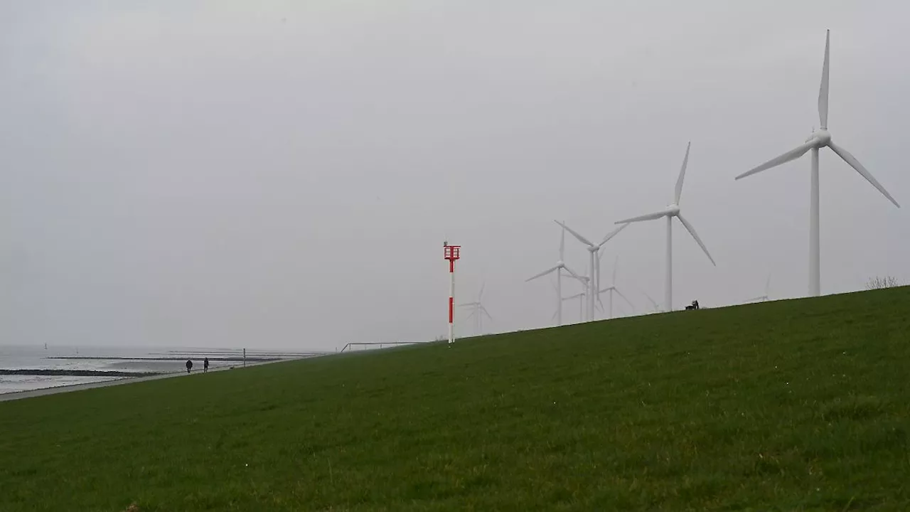 Niedersachsen & Bremen: Elf Menschen bei Gasaustritt an Deich verletzt