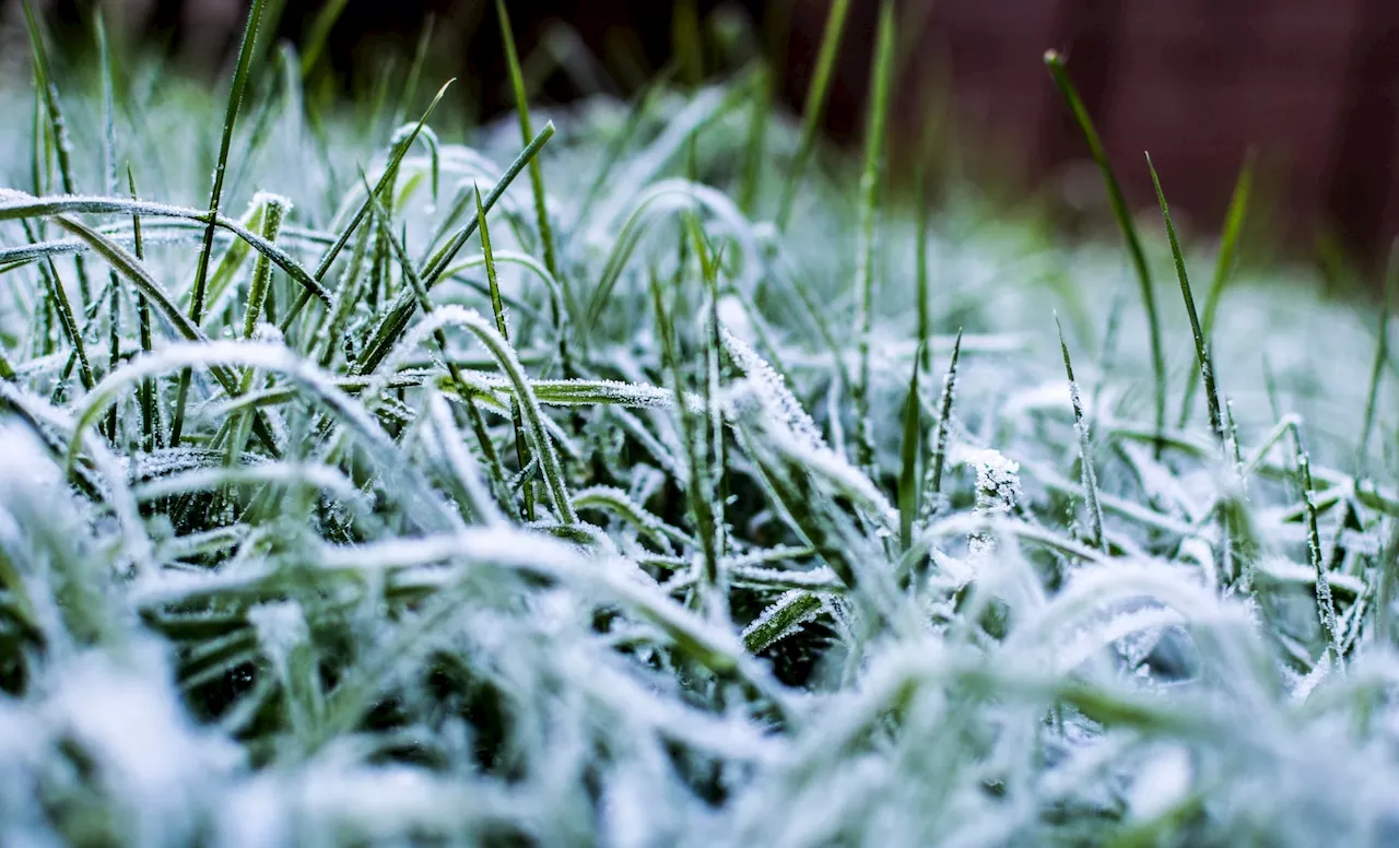 Frost advisory issued just days before temperatures forecast to reach the 80s