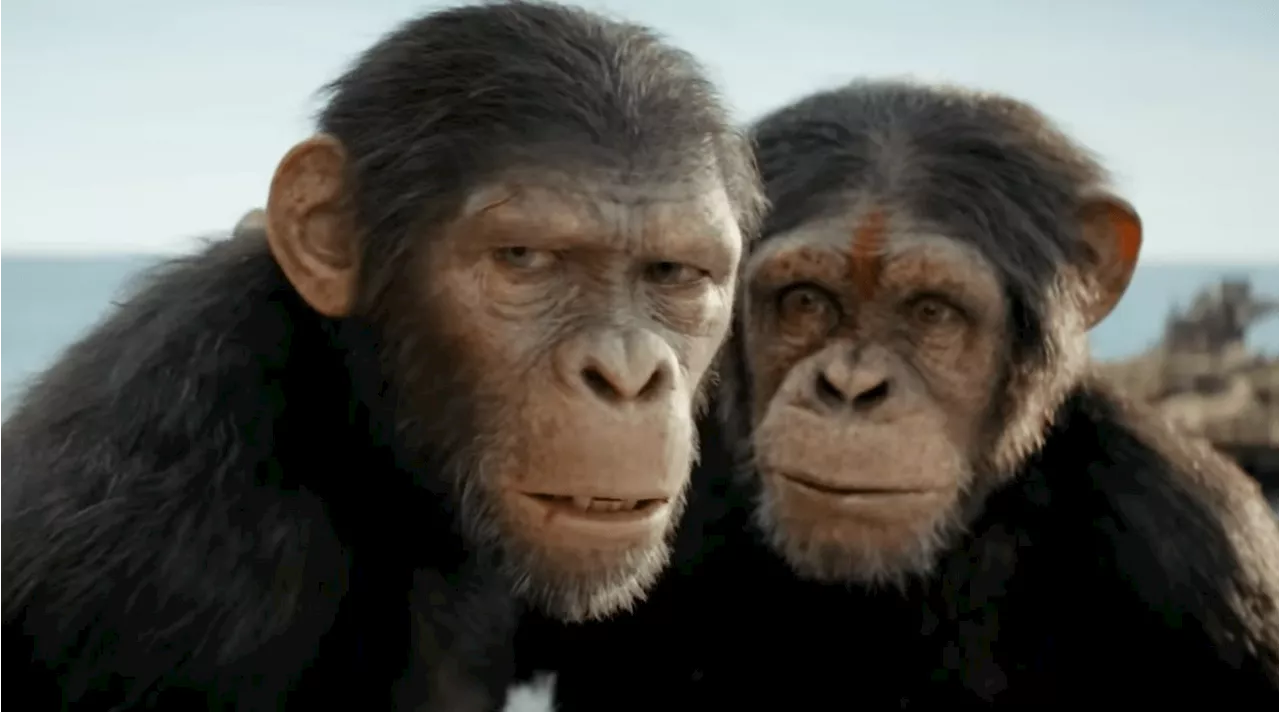 ‘Planet of the Apes’ franchise looks to the future with new film ‘Kingdom’