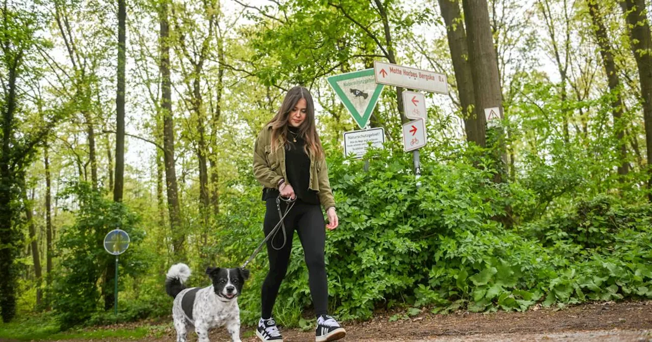 Kreis Viersen: Wo Hunde ohne Leine laufen dürfen