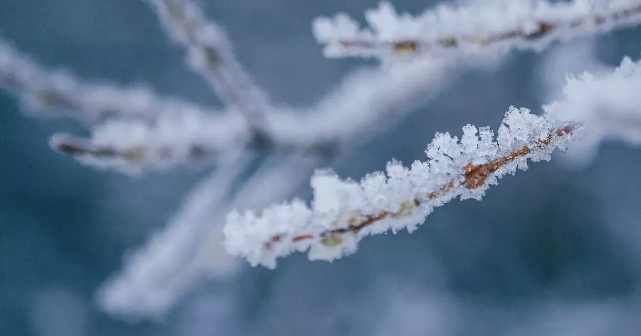 Met Eireann predicts subzero temperatures this weekend ahead of change