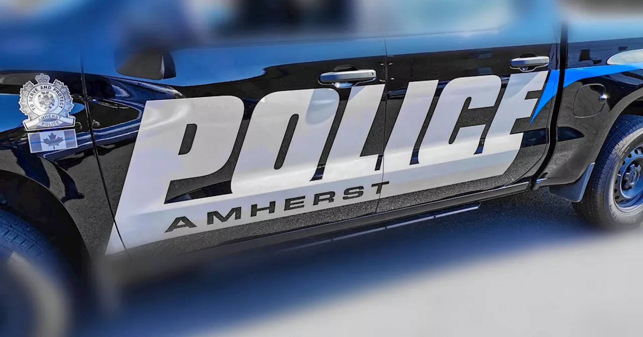 Amherst police lay charges in commercial break-in and e-bike theft