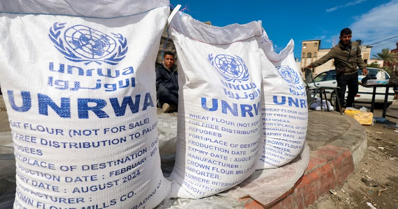 Netherlands will consider resuming support to Palestinian UNRWA agency