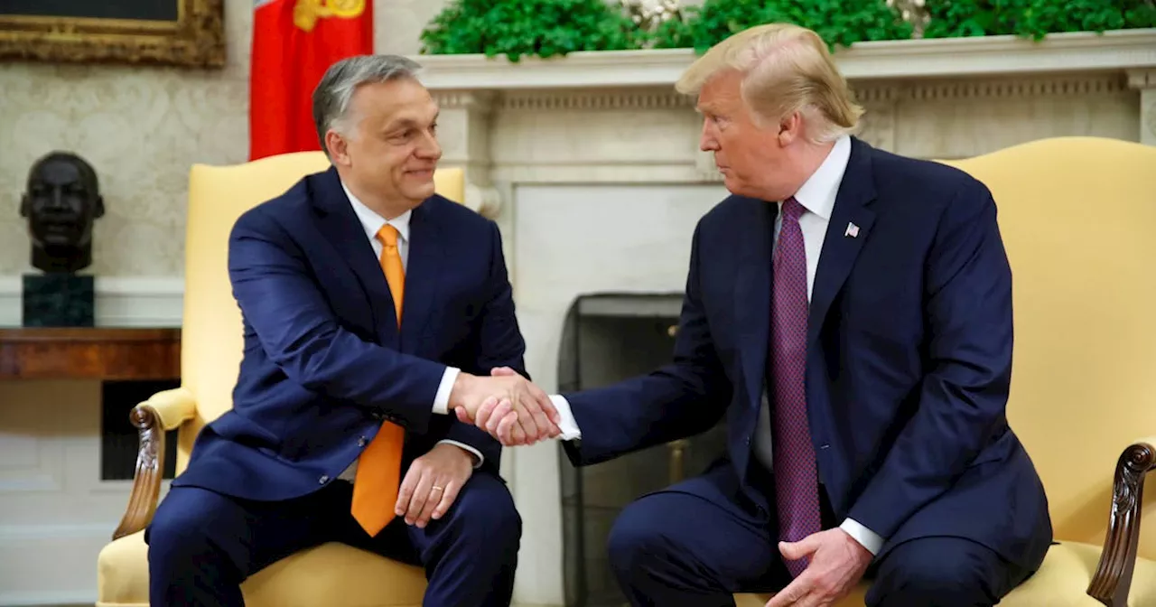 Trump ready to renew conservative alliance with Hungary's Orban