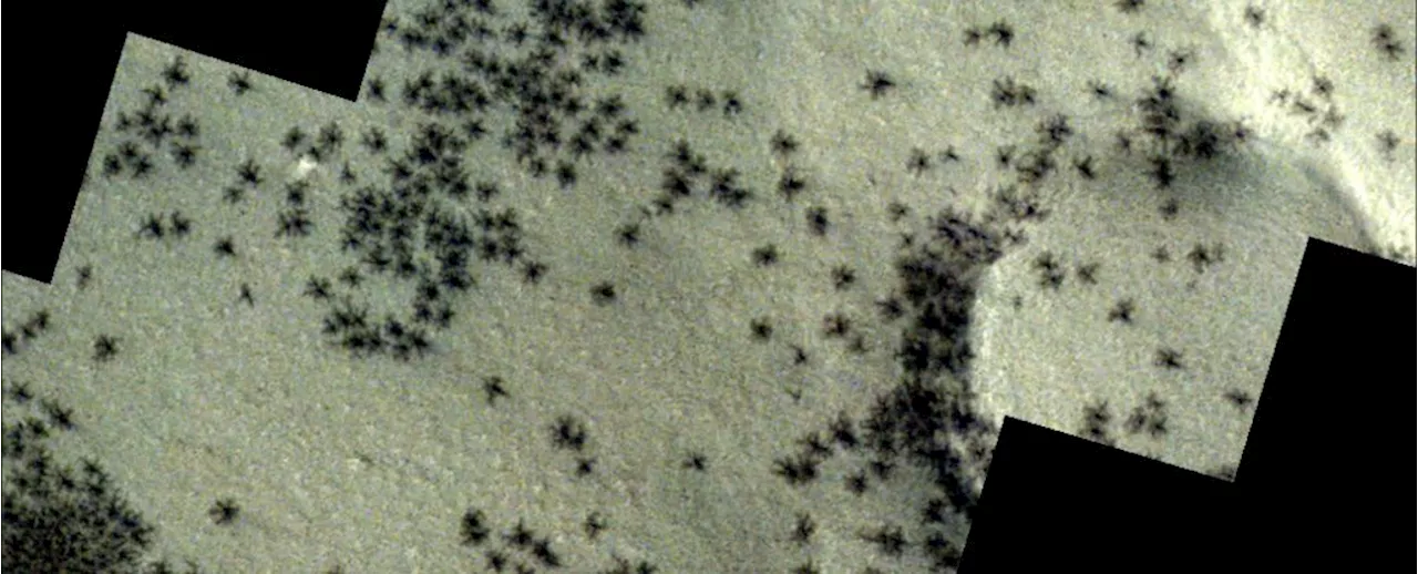 Eerie 'Spiders' Scattered Through Inca City on Mars Seen in Incredible Images