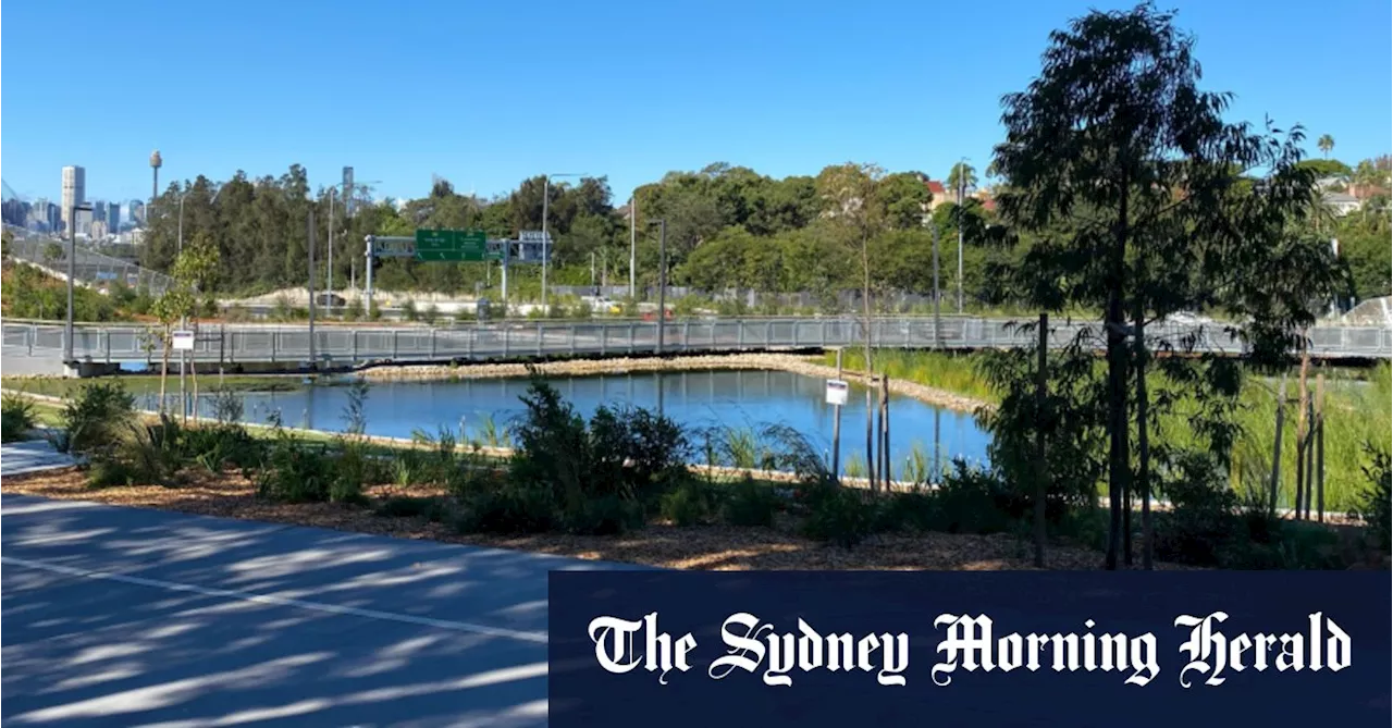 Algae found in Rozelle Parklands pond, days before planned reopening