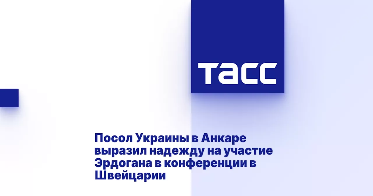 Посол Украины в Анкаре выразил надежду на участие Эрдогана в конференции в Швейцарии