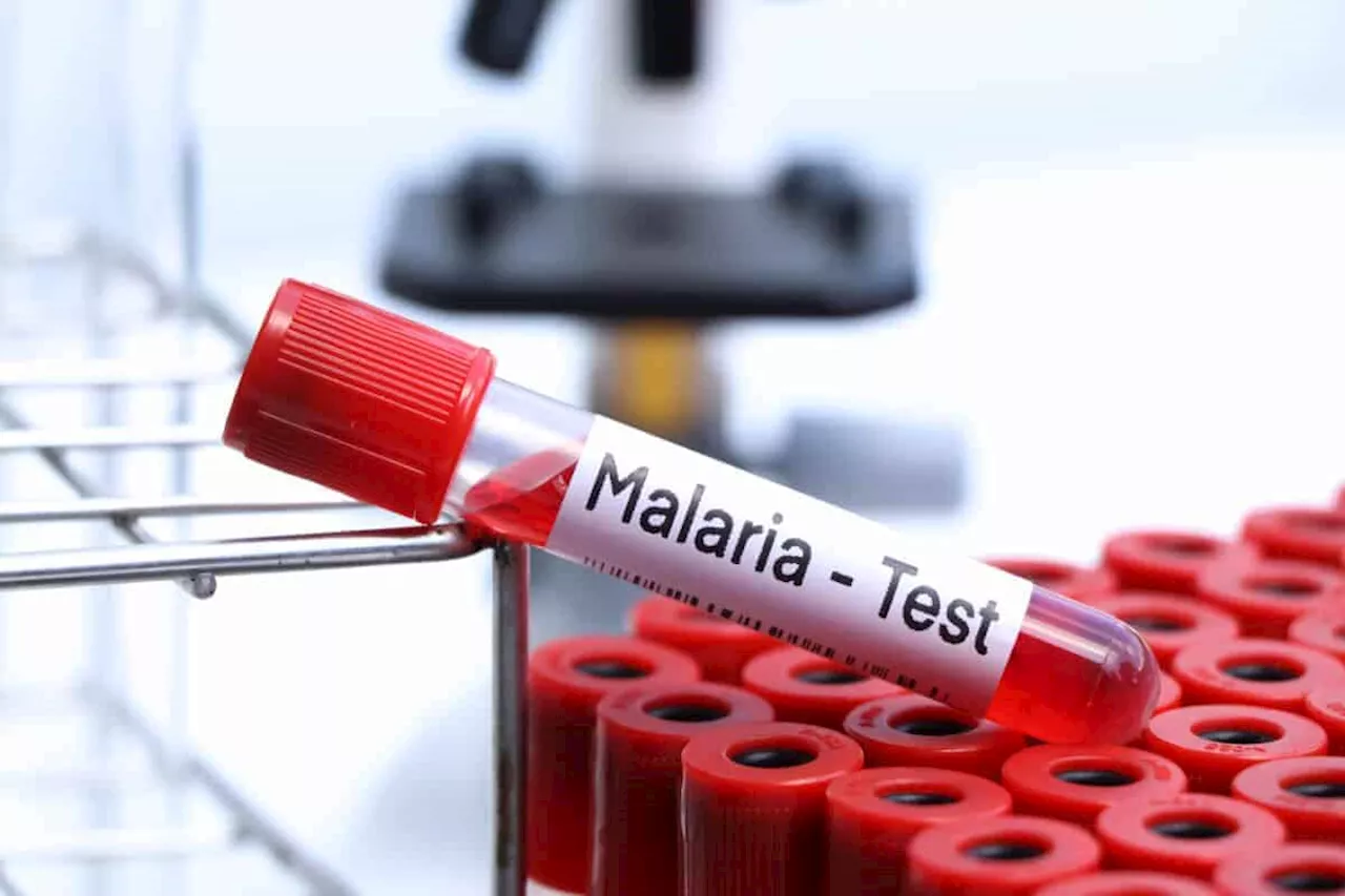 Expert warns: No anti-malaria drug is foolproof