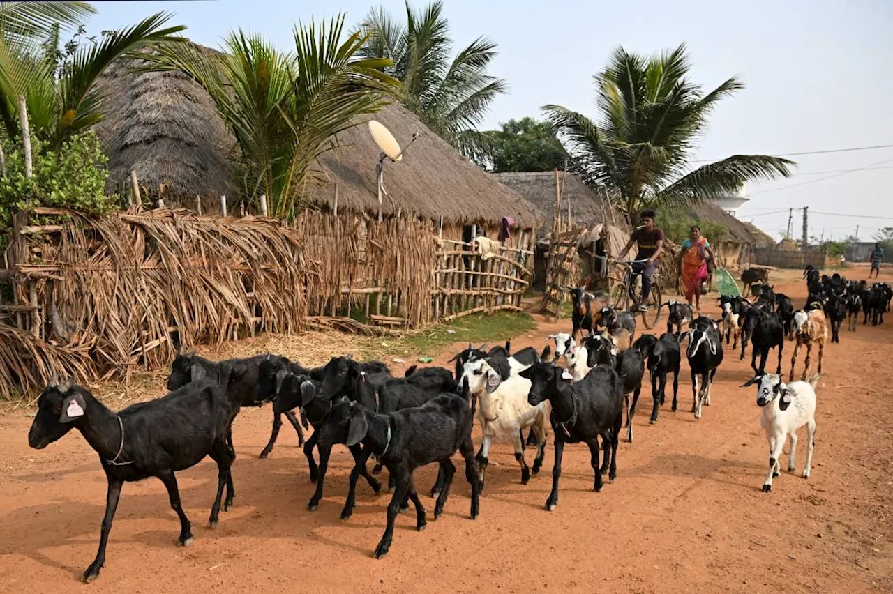 The Indian villagers who lost their homes to the sea