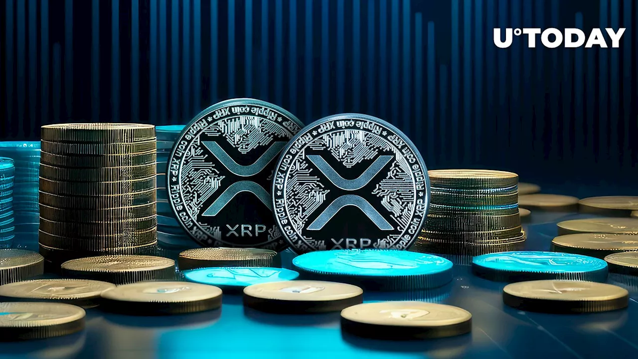 $10.6 Million in XRP Transferred From Major Exchange: Details