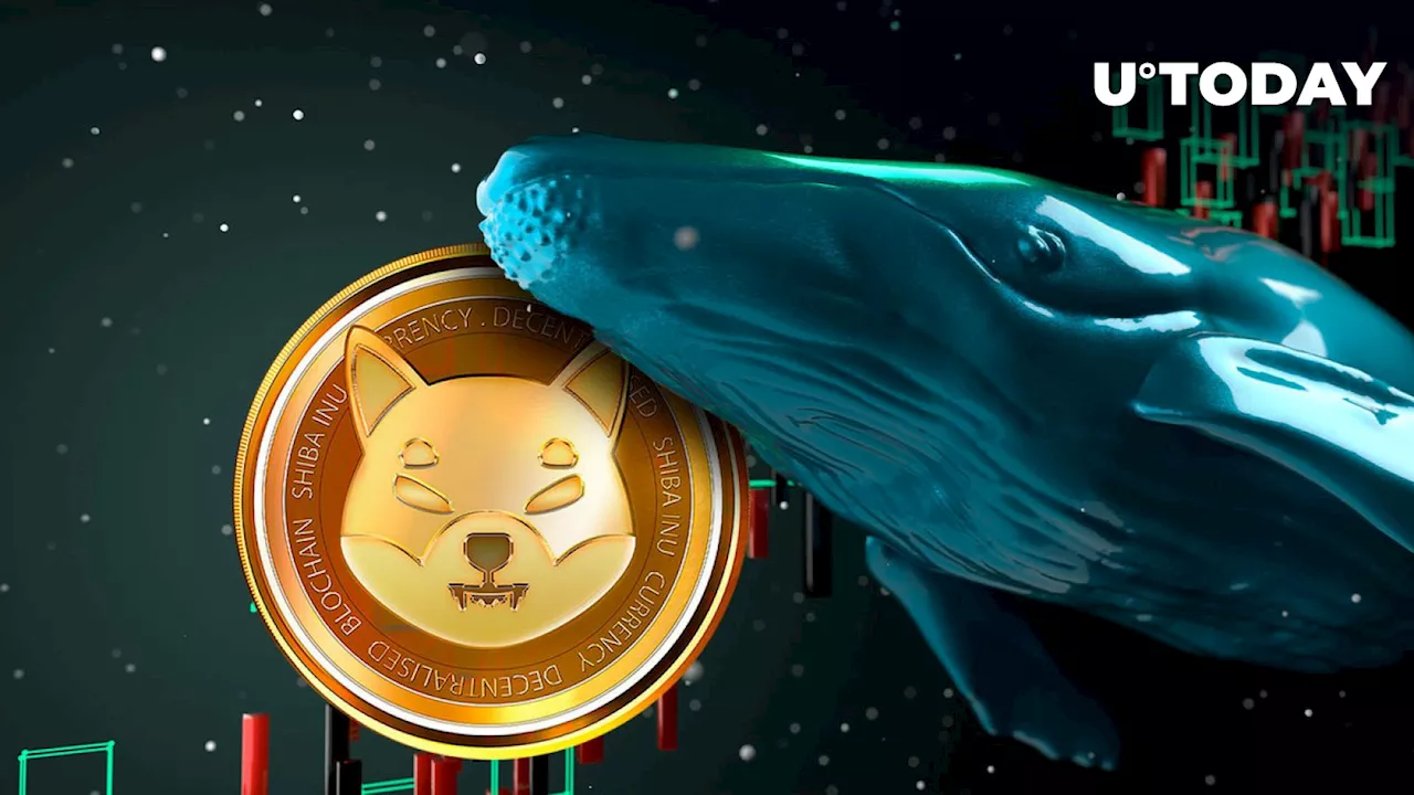 Shiba Inu Key Metric Skyrockets by 61% as SHIB Whales Return