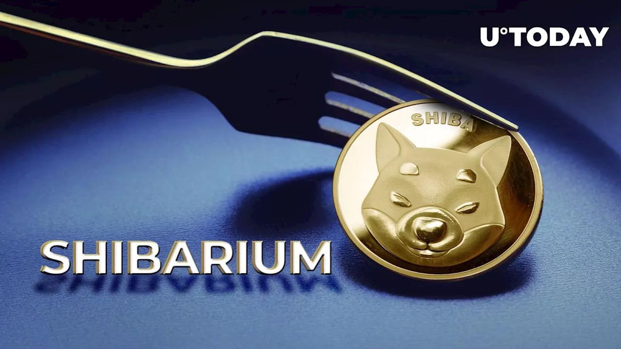 Shiba Inu (SHIB) Teases Big Plans for Shibarium Hard Fork: Details