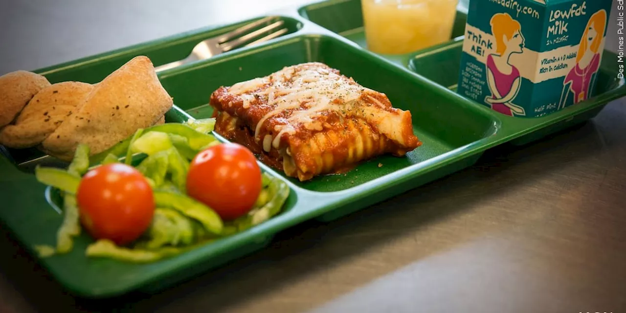‘It’s important for children to experience different types of foods’: School meals to get healthier with less salt and sugar under new rule