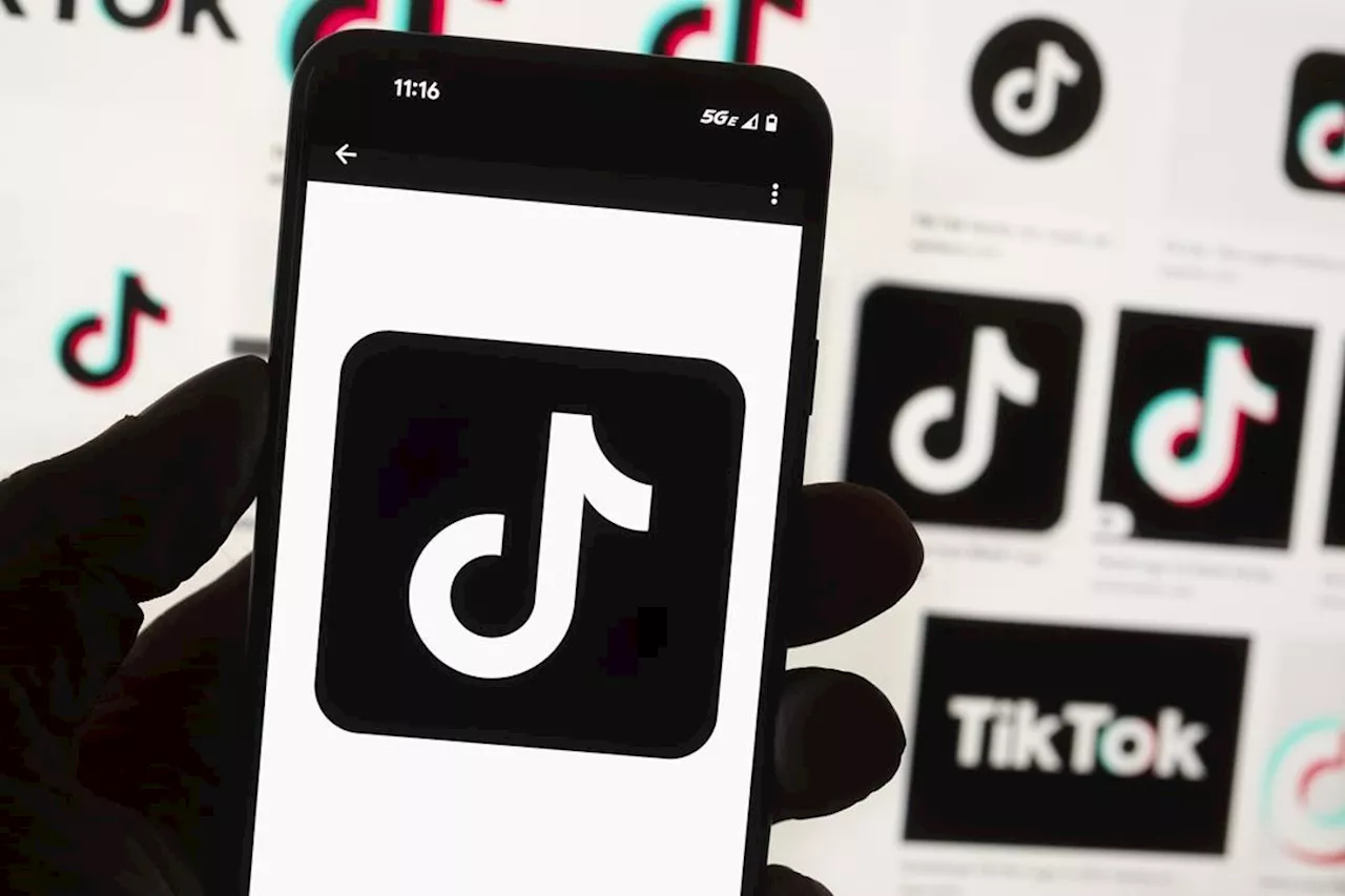 These are the countries where TikTok is already banned