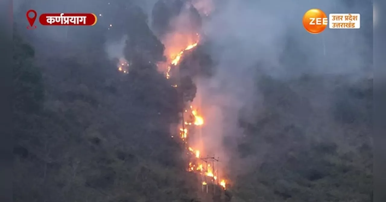 Video: नरक की आग की तरह धधक रहे उत्तराखंड के जंलग, कर्णप्रयाग से सामने आया खौफनाक वीडियो