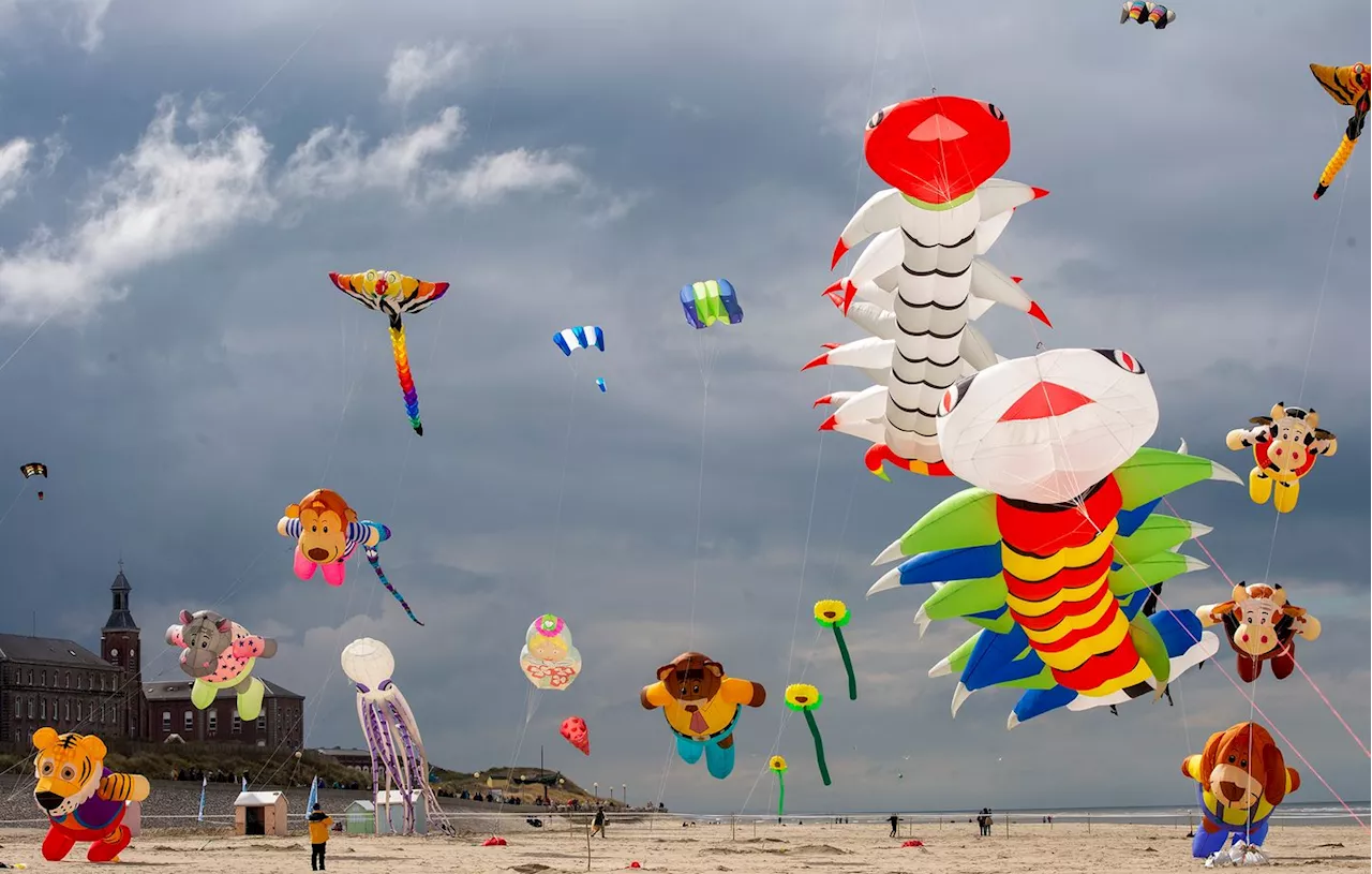 Festival international de Berck-sur-Mer : Pourquoi le cerf-volant n’est-il pas un sport olympique ?