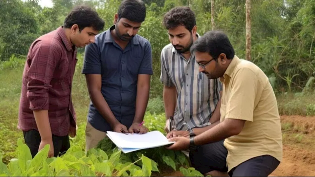 युवाओं के लिए कृषि क्षेत्र में करियर बनाने का सुनहरा अवसर, इस नौकरी के लिए करें आवेदन