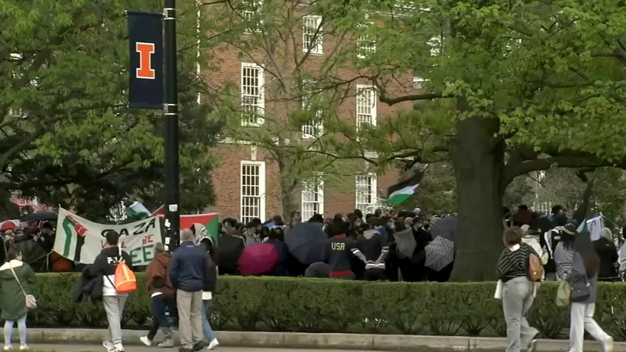 Protests for Palestine at UIUC day after police clash with demonstrators