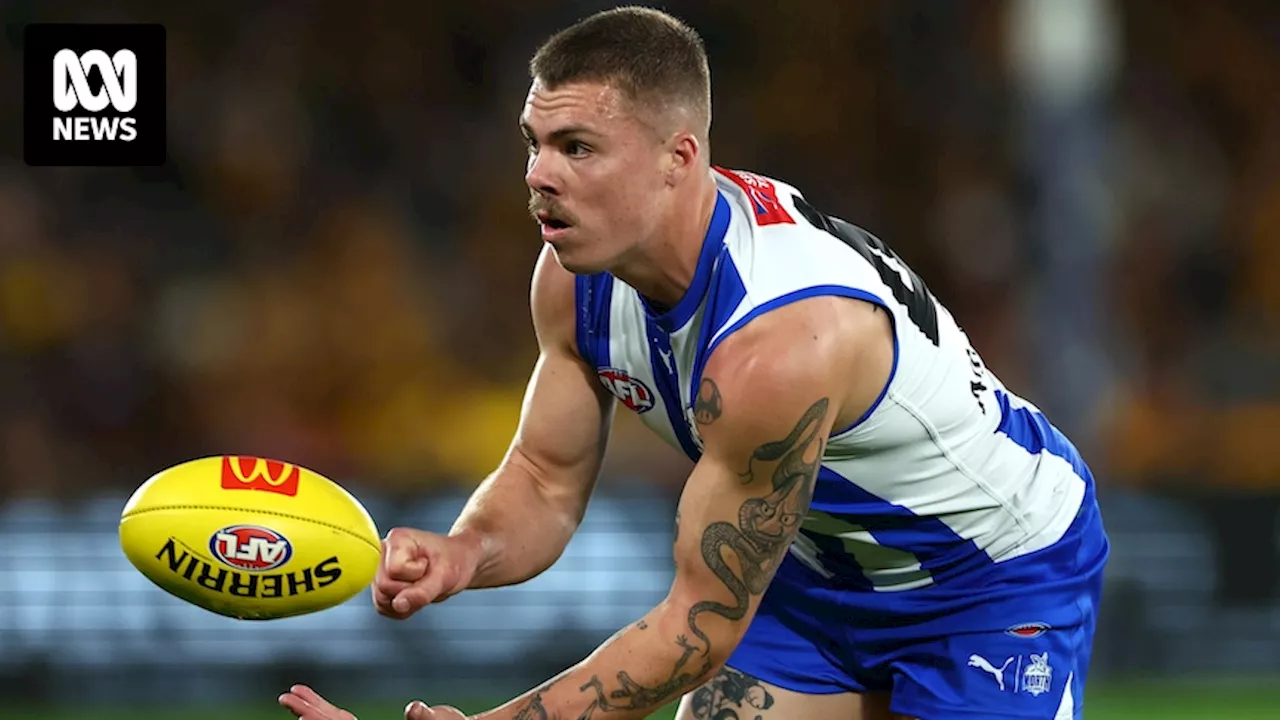 AFL live updates: Kangaroos vs Crows, Cats vs Blues, Dockers vs Bulldogs — blog, scores and stats