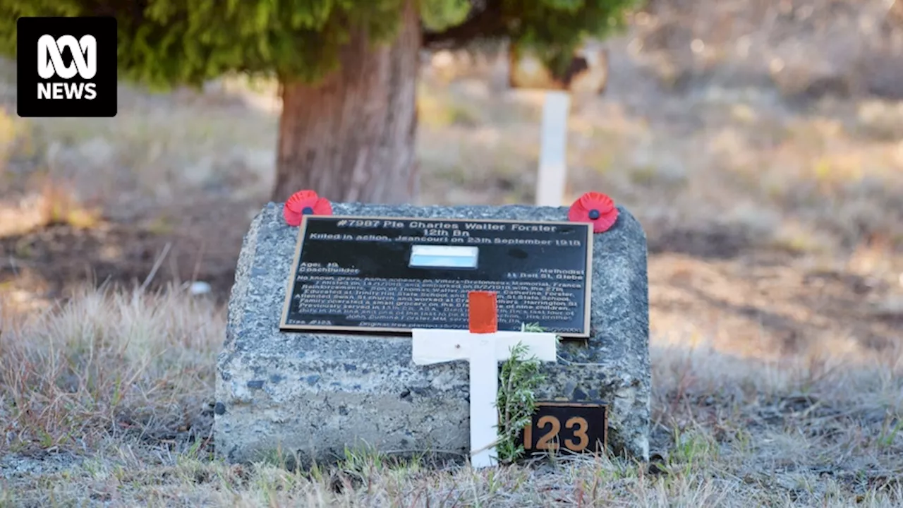 Soldiers Memorial Avenue in Hobart gives threatened plant species chance to thrive