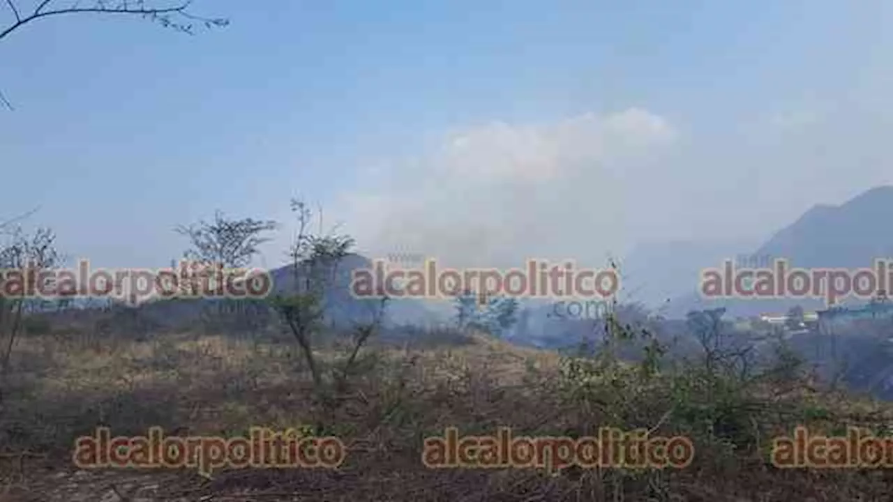 Sofocan cuerpos de auxilio incendio de pastizal en Balastrera, este sábado