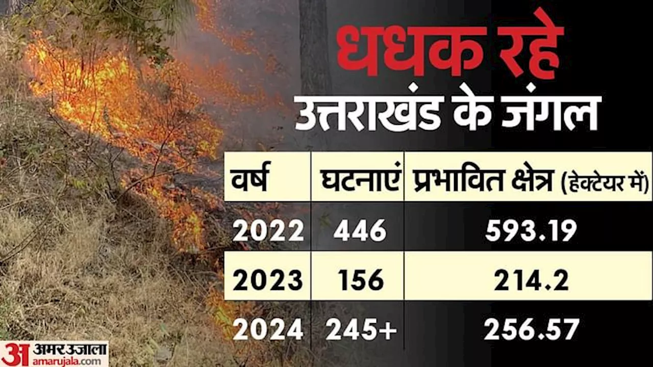 Forest Fire: पिछले साल की तुलना में बढ़ीं वनाग्नि की घटनाएं, आने वाले दिन और चुनौतीपूर्ण होने की आशंका