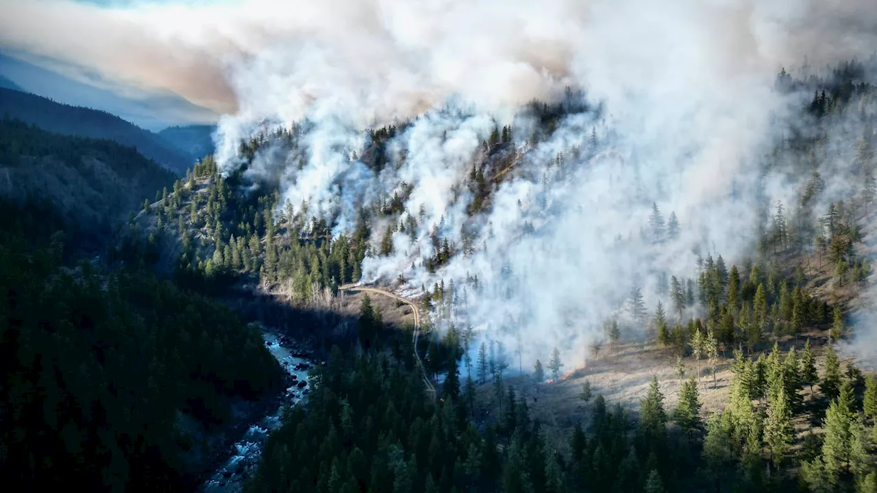 How more First Nations in B.C. are using cultural practices to protect their communities from wildfire