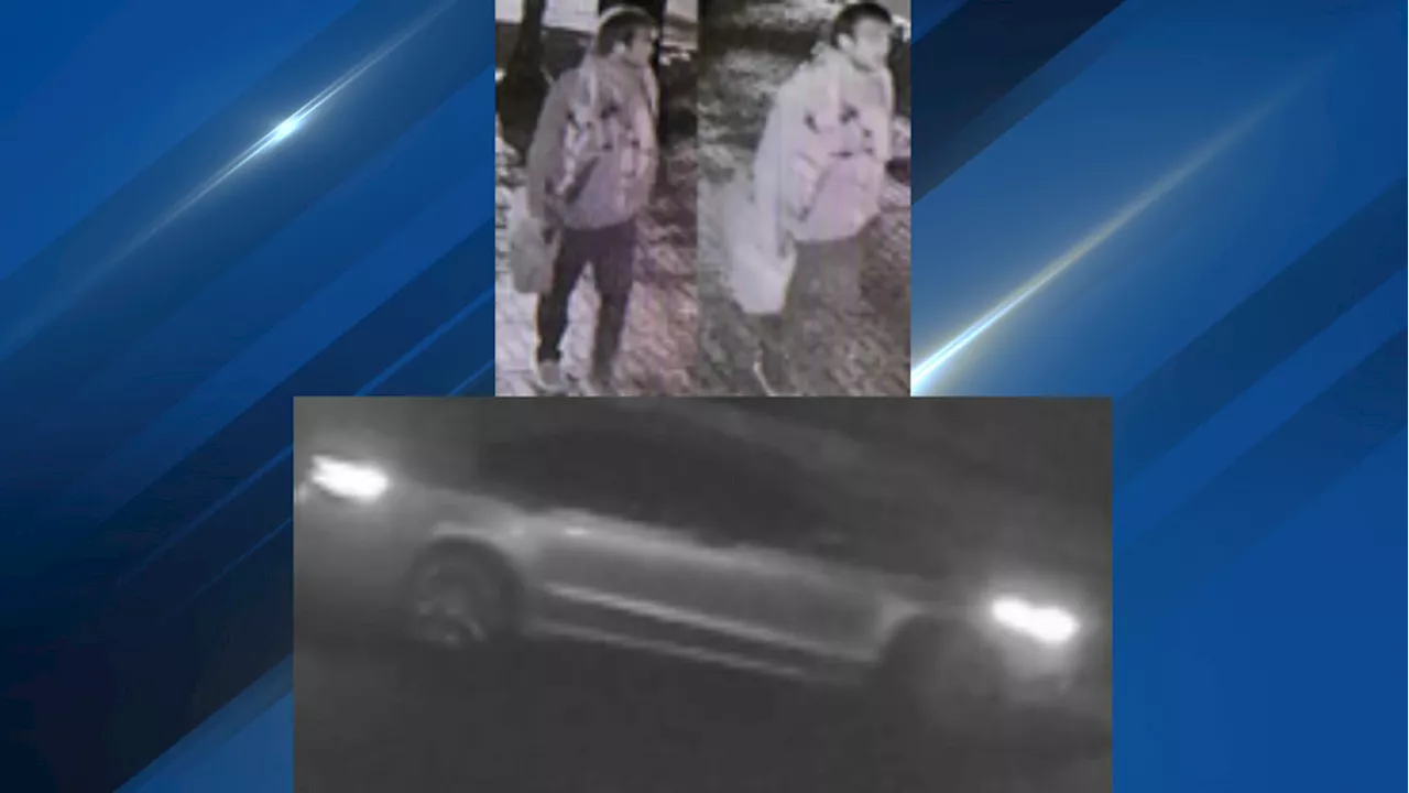 Wilco deputies search for person of interest in vandalism case at congressman's office