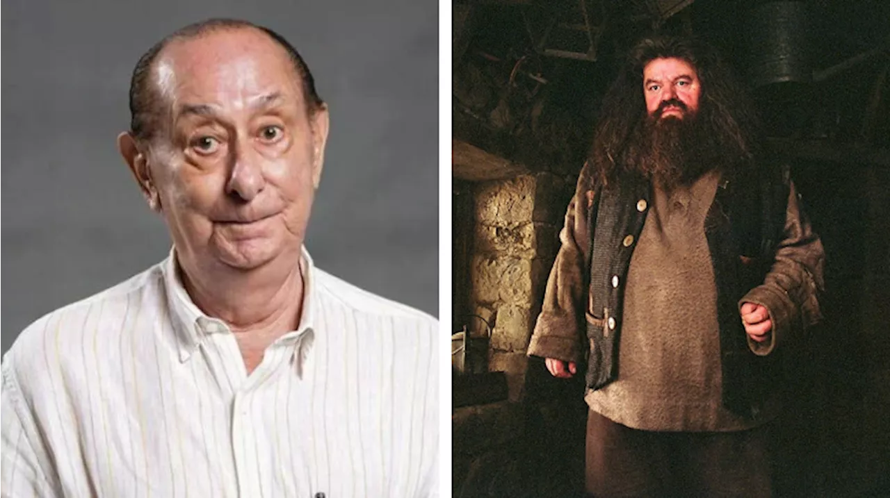 José Santa Cruz: de Zorra Total a “Harry Potter”, relembre trabalhos marcantes