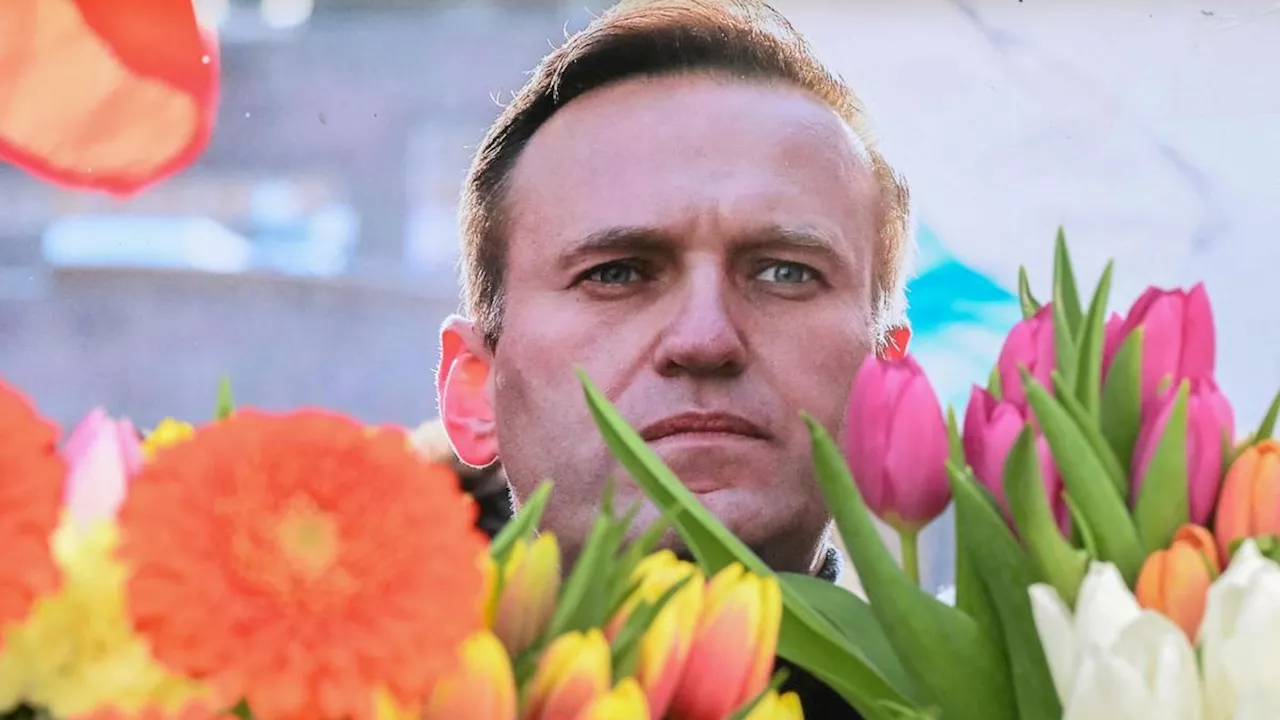 «Putin non ha ordinato l'omicidio di Navalny»