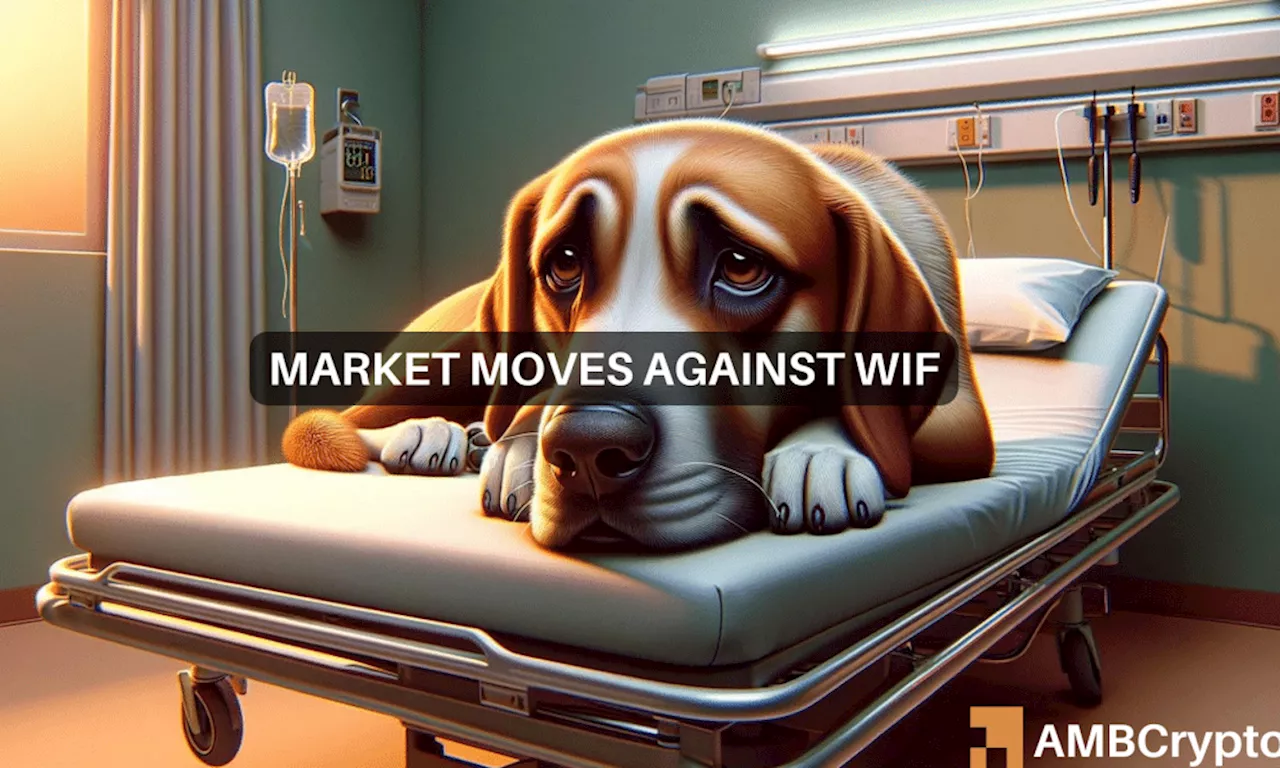 WIF loses 12% in 24 hours – How can traders make sense of it all?