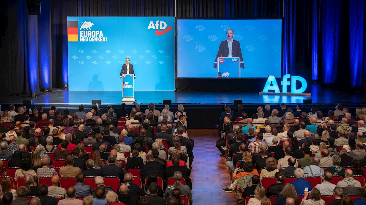 Wahlkampfauftakt der AfD von Vorwürfen gegen Spitzenkandidaten überschattet