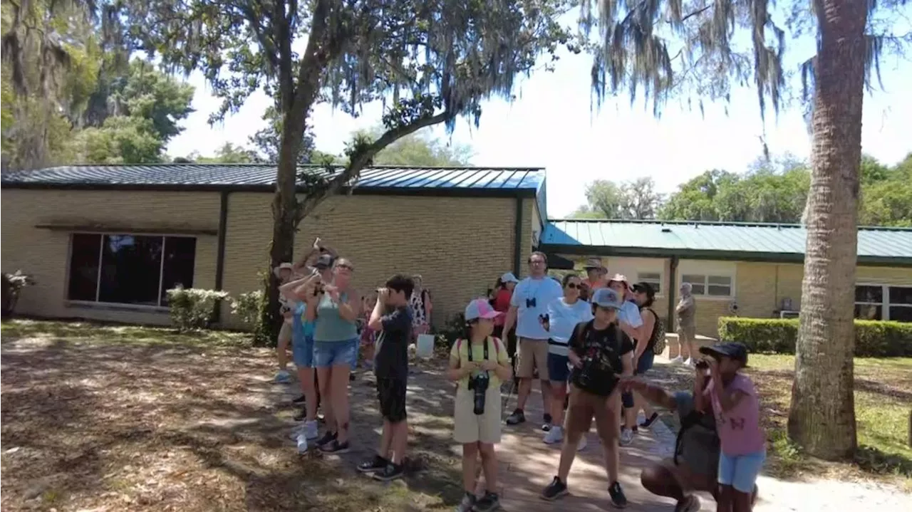 Celebrating National Bird Migratory Day in Jacksonville