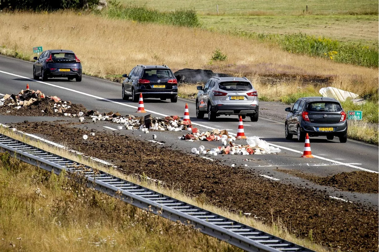 Layers Of Responsibility For Dutch Nitrogen Pollution